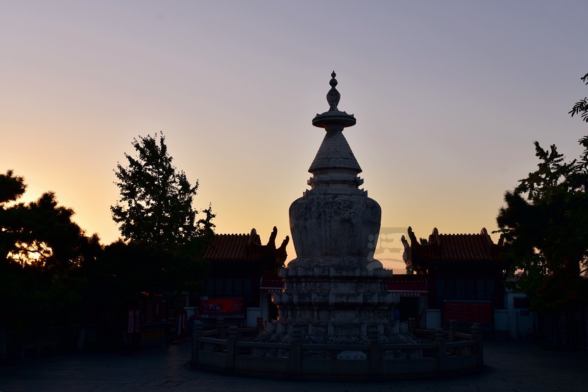 【家乡美】满园青郁夕照红——武汉随笔