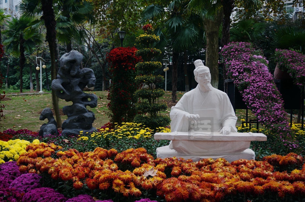 【家乡美】更将金蕊泛流霞——武汉随笔