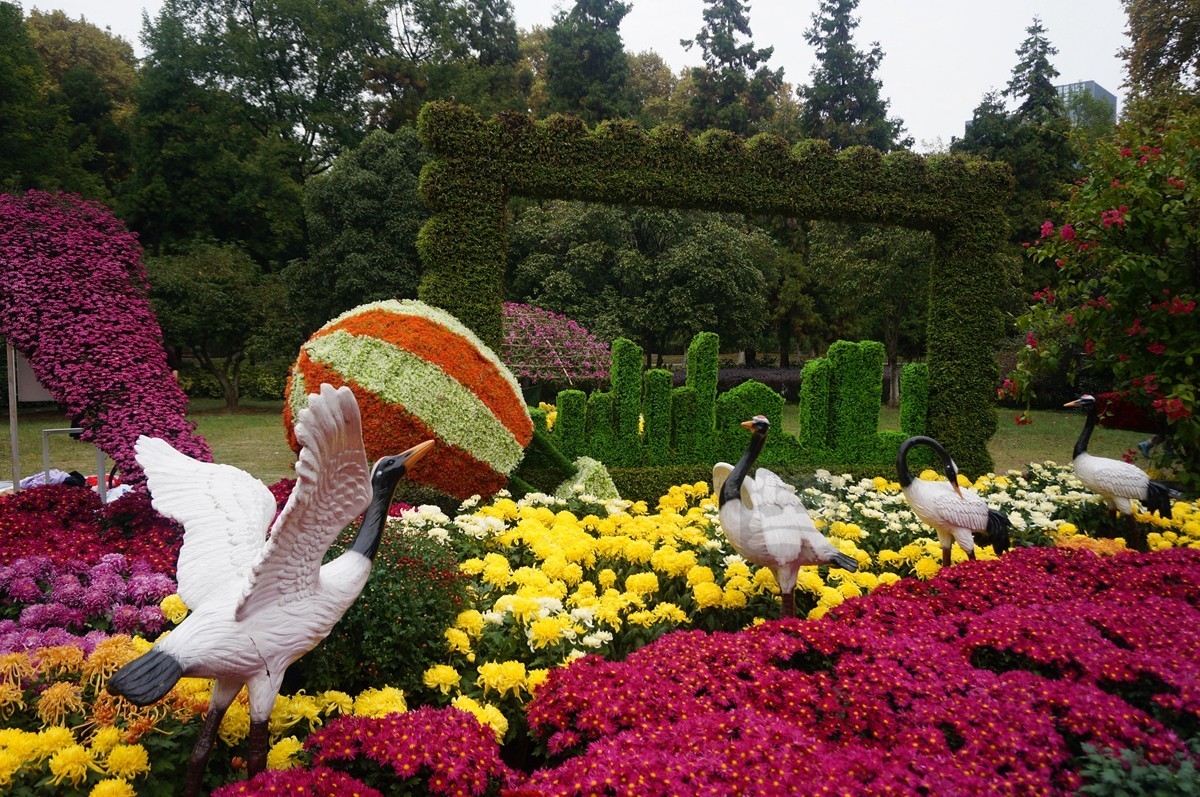 【家乡美】更将金蕊泛流霞——武汉随笔