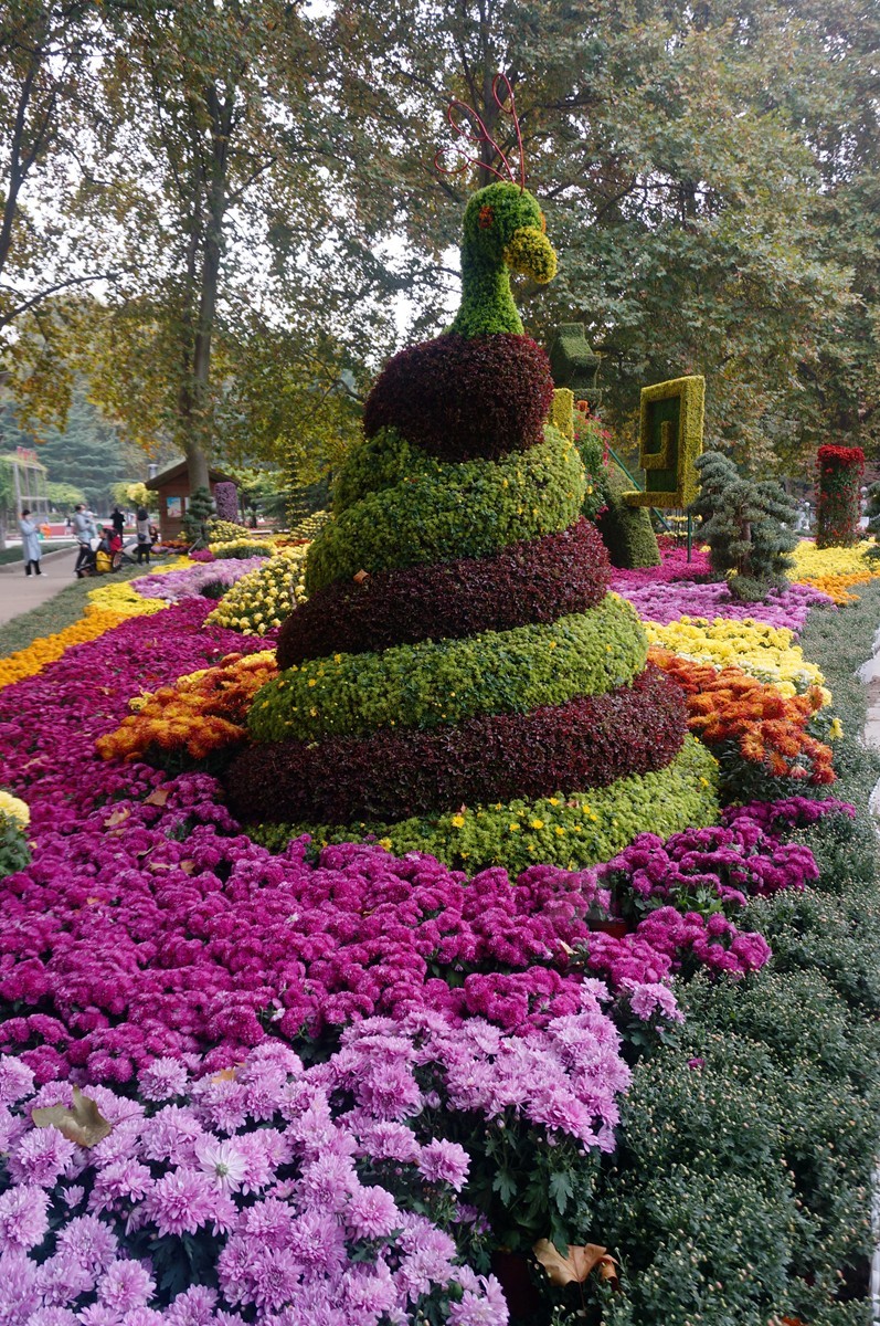 【家乡美】更将金蕊泛流霞——武汉随笔