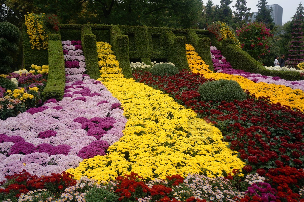 【家乡美】更将金蕊泛流霞——武汉随笔