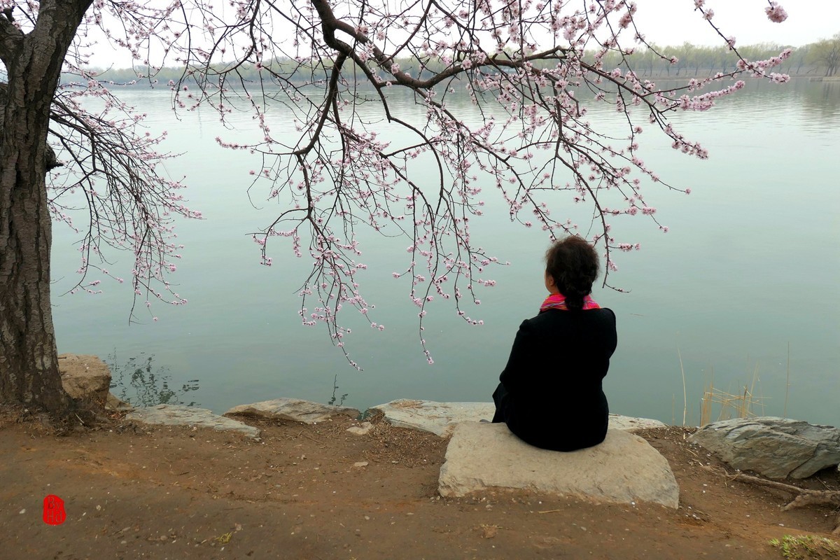 试一下图片大小对画质的影响