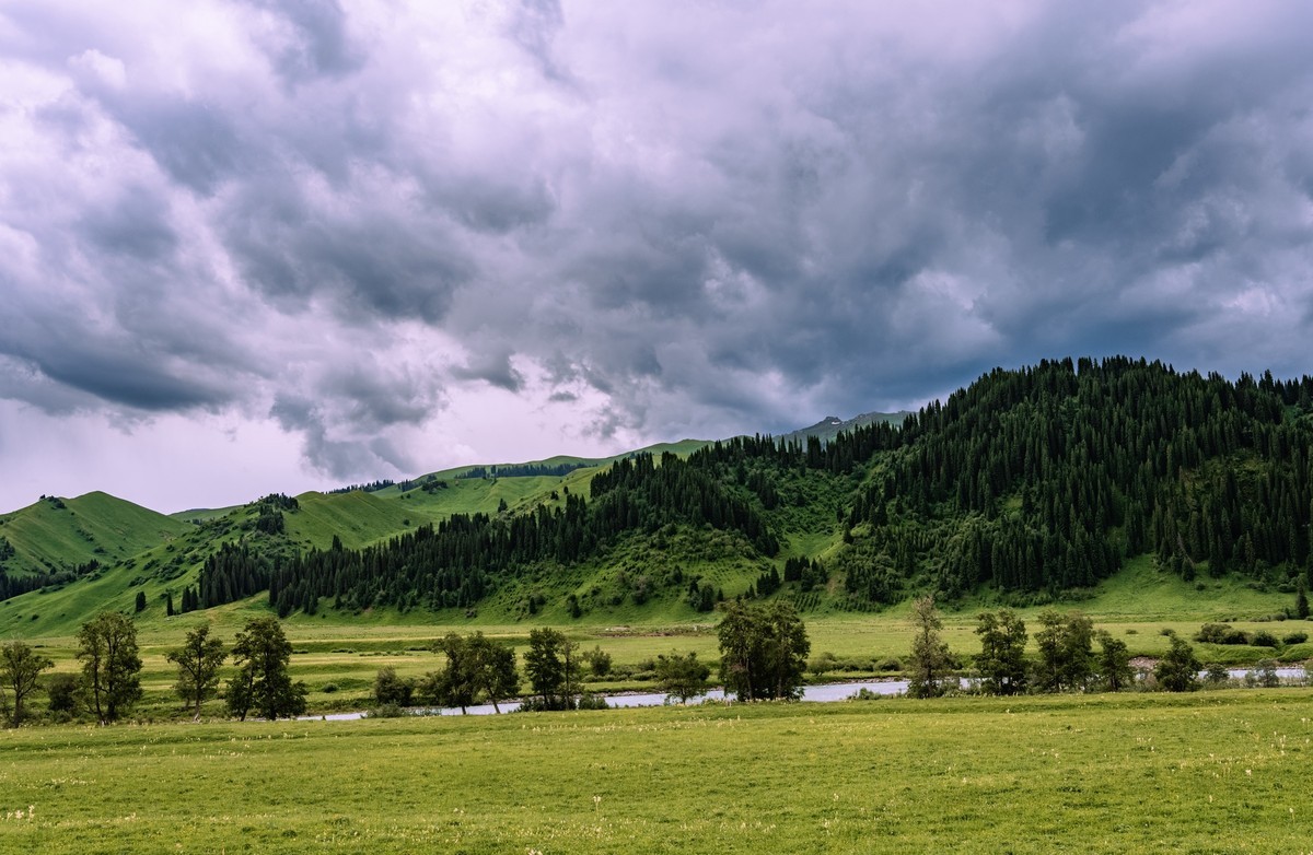 霍城四宫村薰衣草庄园～唐布拉百里画廊～1
