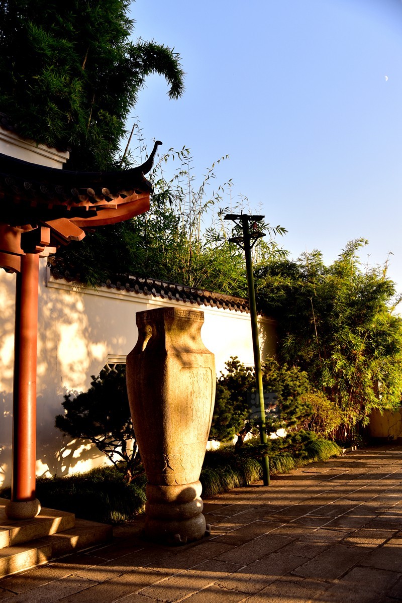 【家乡美】满园青郁夕照红——武汉随笔