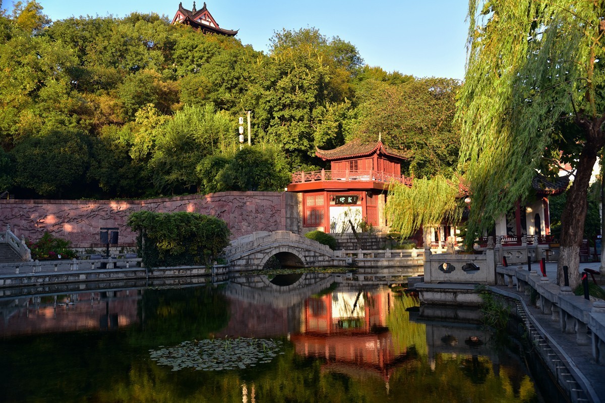 【家乡美】满园青郁夕照红——武汉随笔