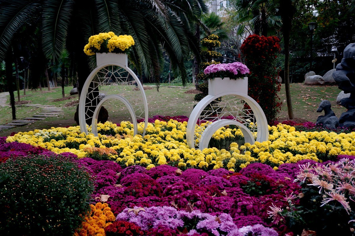 【家乡美】更将金蕊泛流霞——武汉随笔