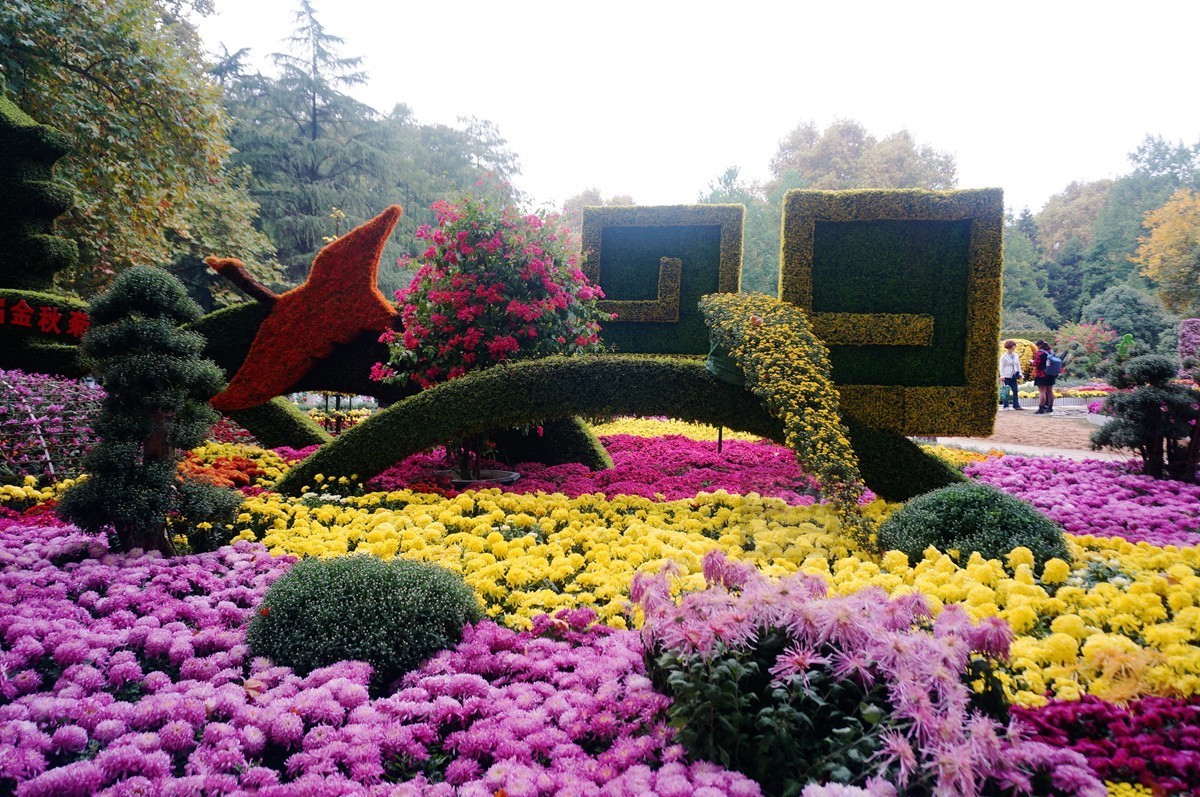 【家乡美】更将金蕊泛流霞——武汉随笔