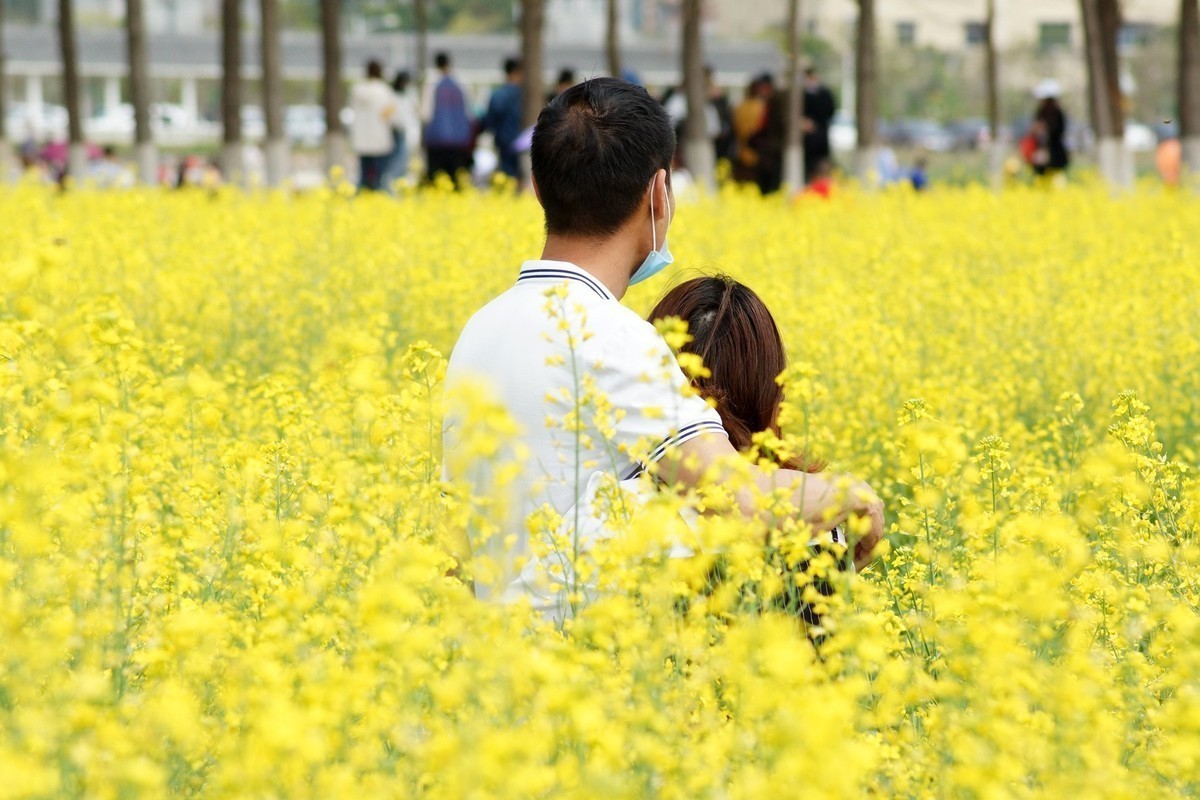 五山新村油菜花闲拍