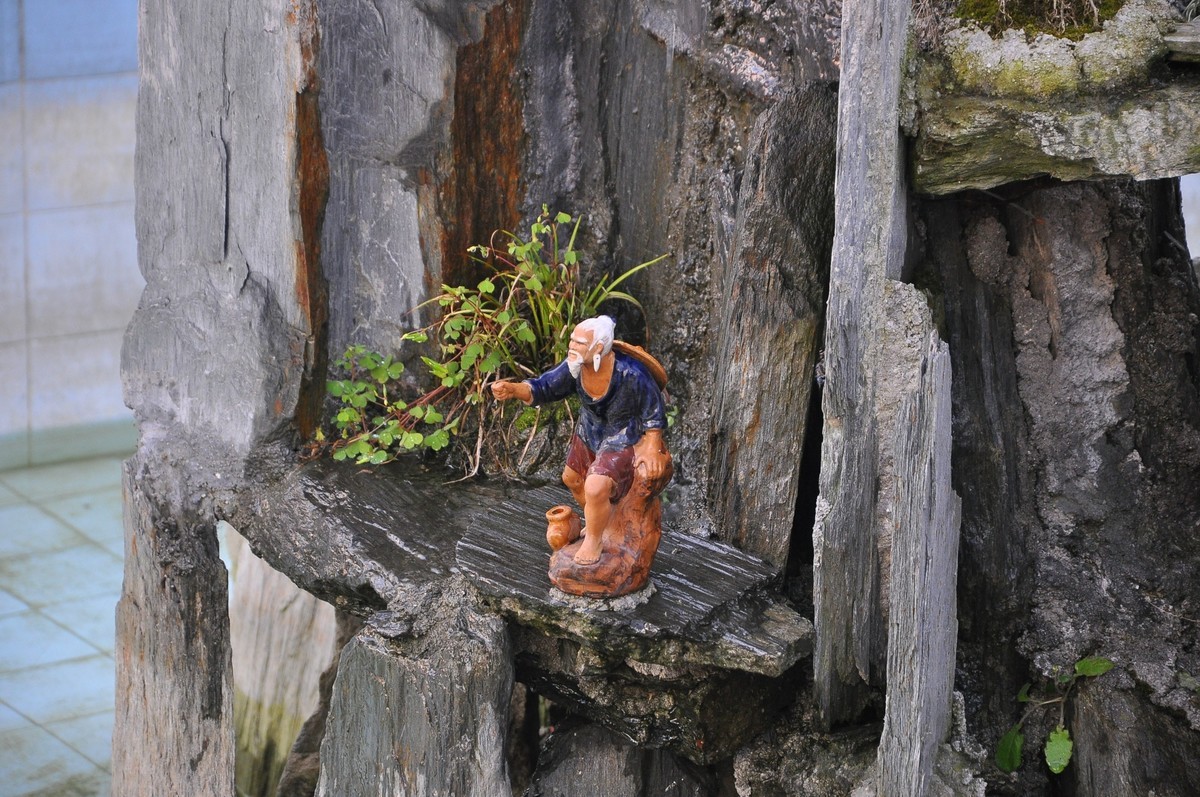 公园随拍，尼康D90