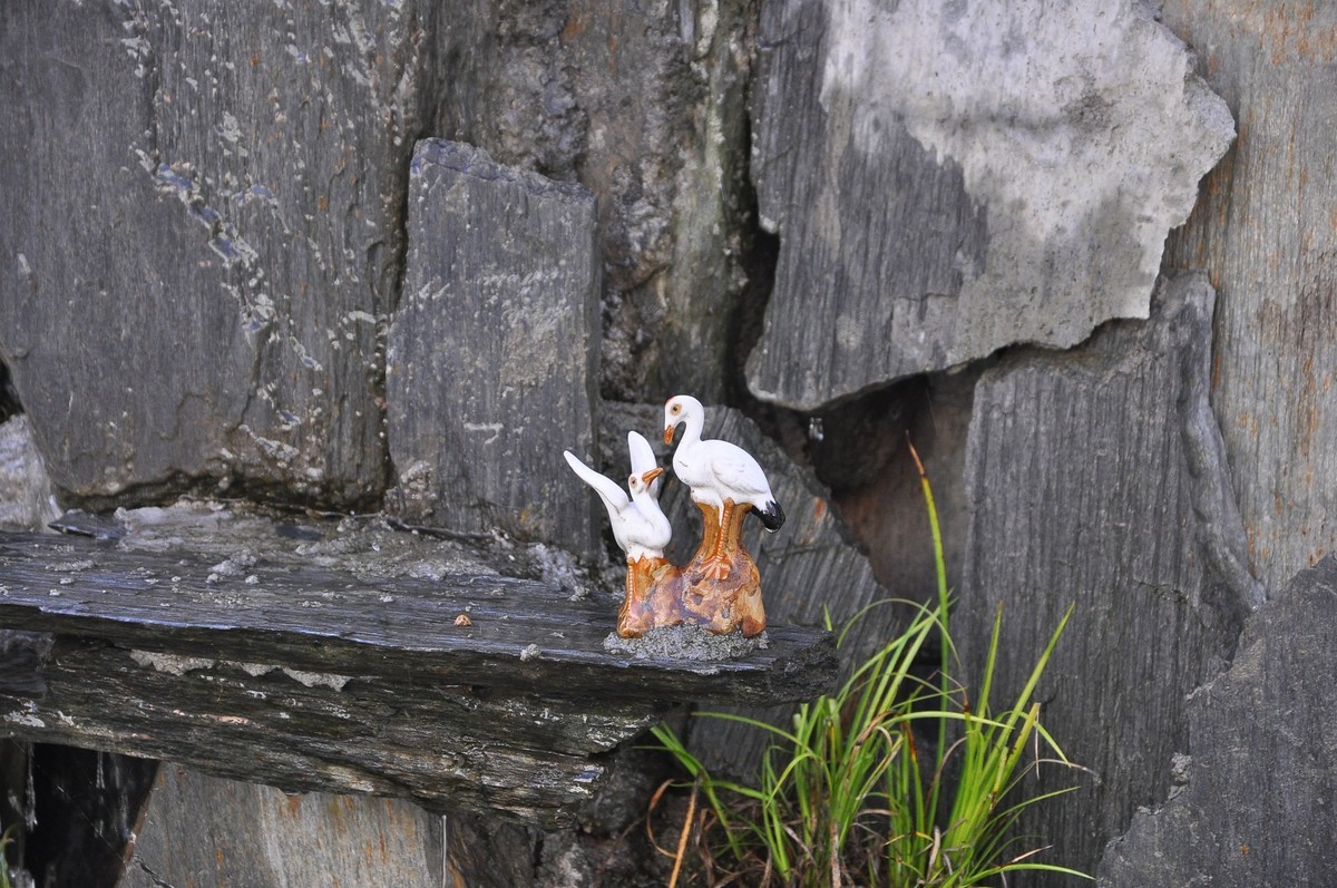 公园随拍，尼康D90