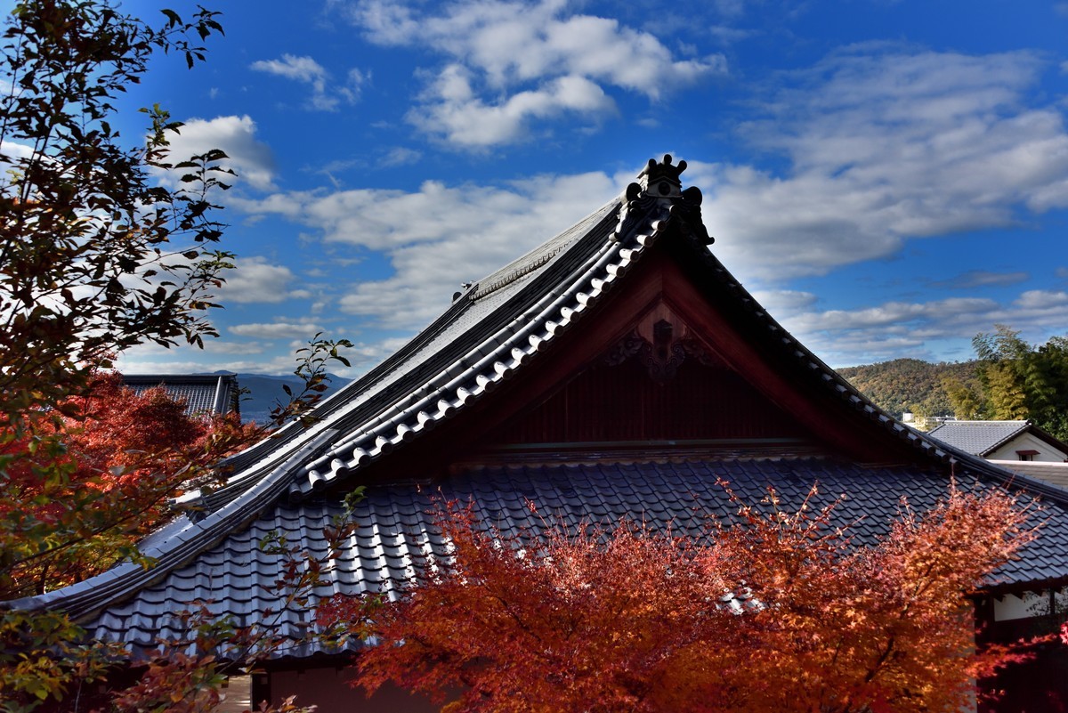 日本關西紅葉狩京都篇比睿山圓光寺2