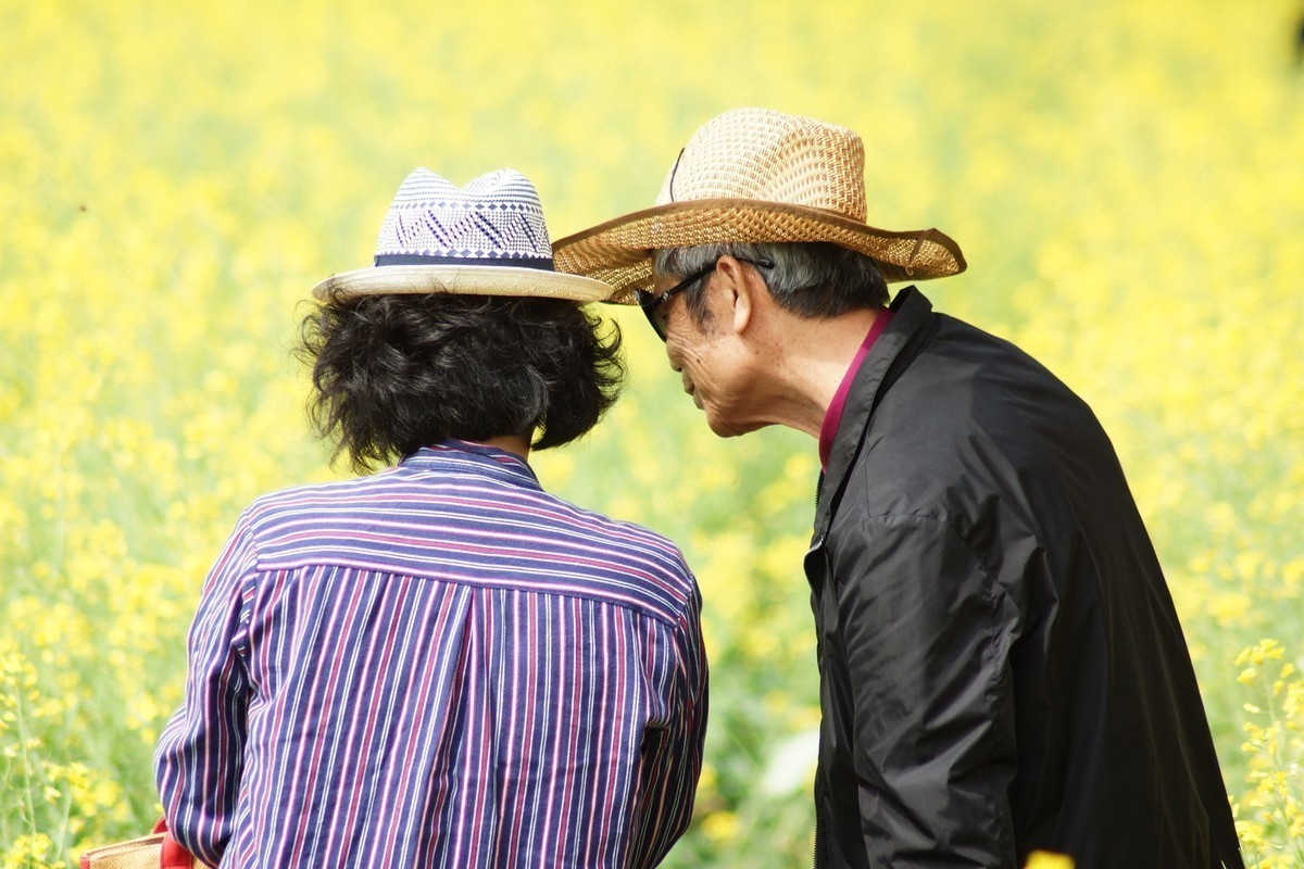 五山新村油菜花闲拍