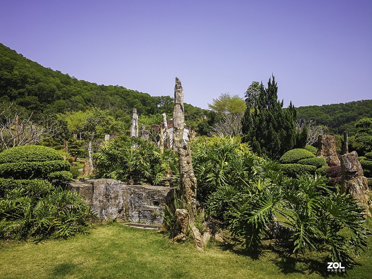 深圳仙湖植物園掠影