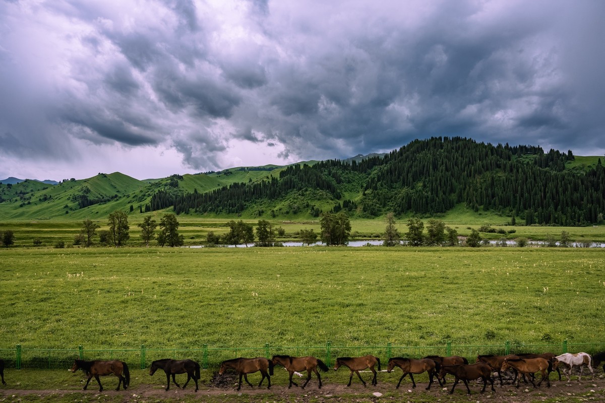 霍城四宫村薰衣草庄园～唐布拉百里画廊～1