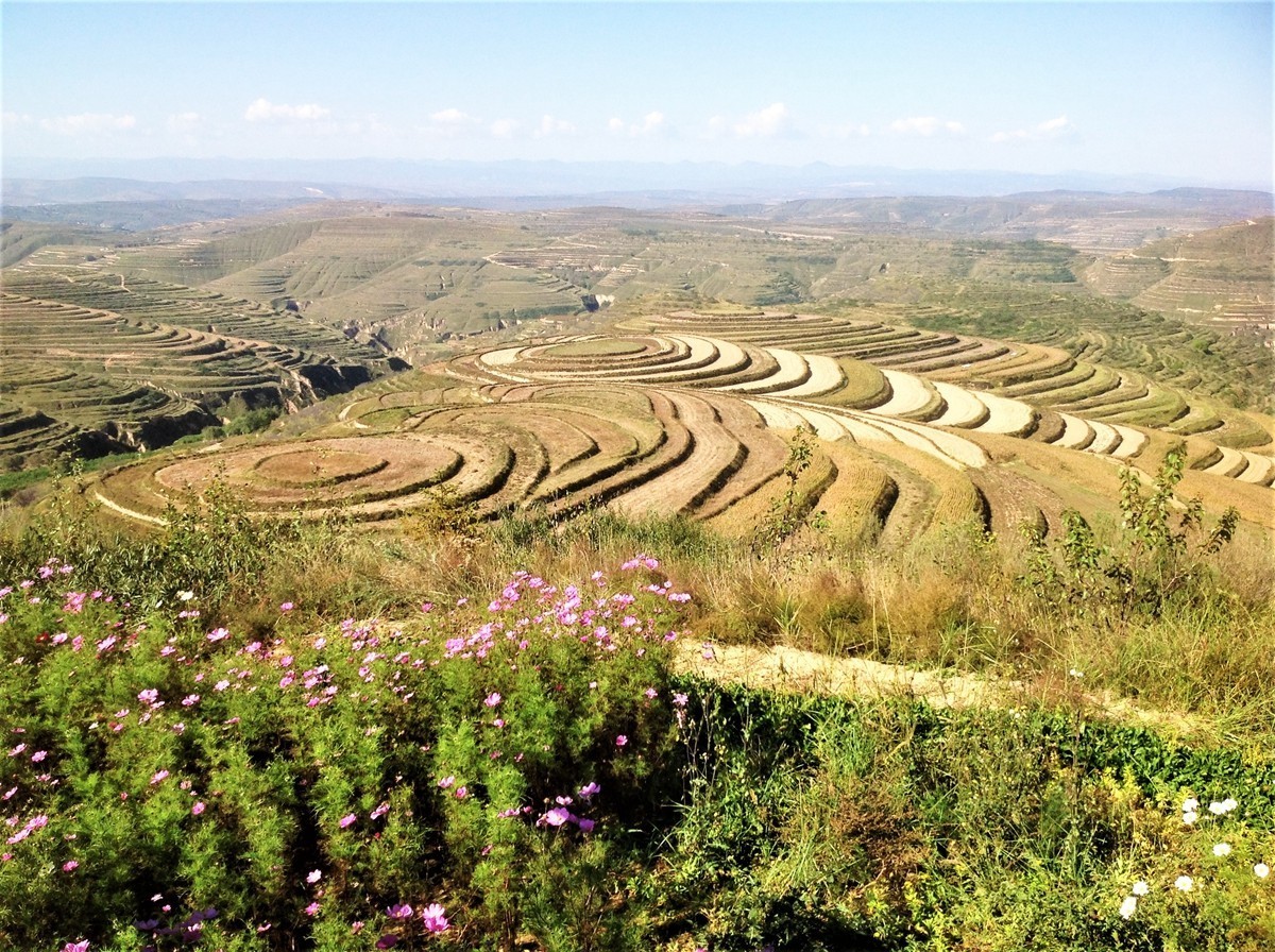 彭阳金鸡坪梯田公园2