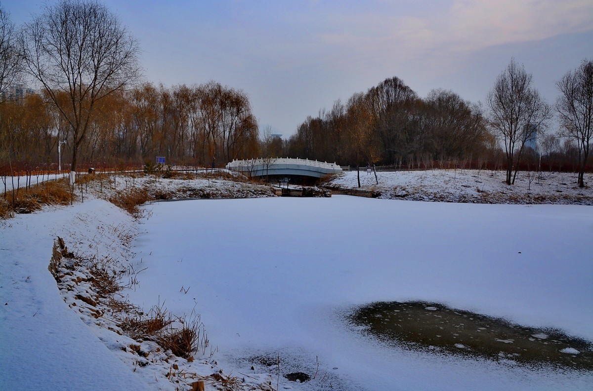 雪后湿地