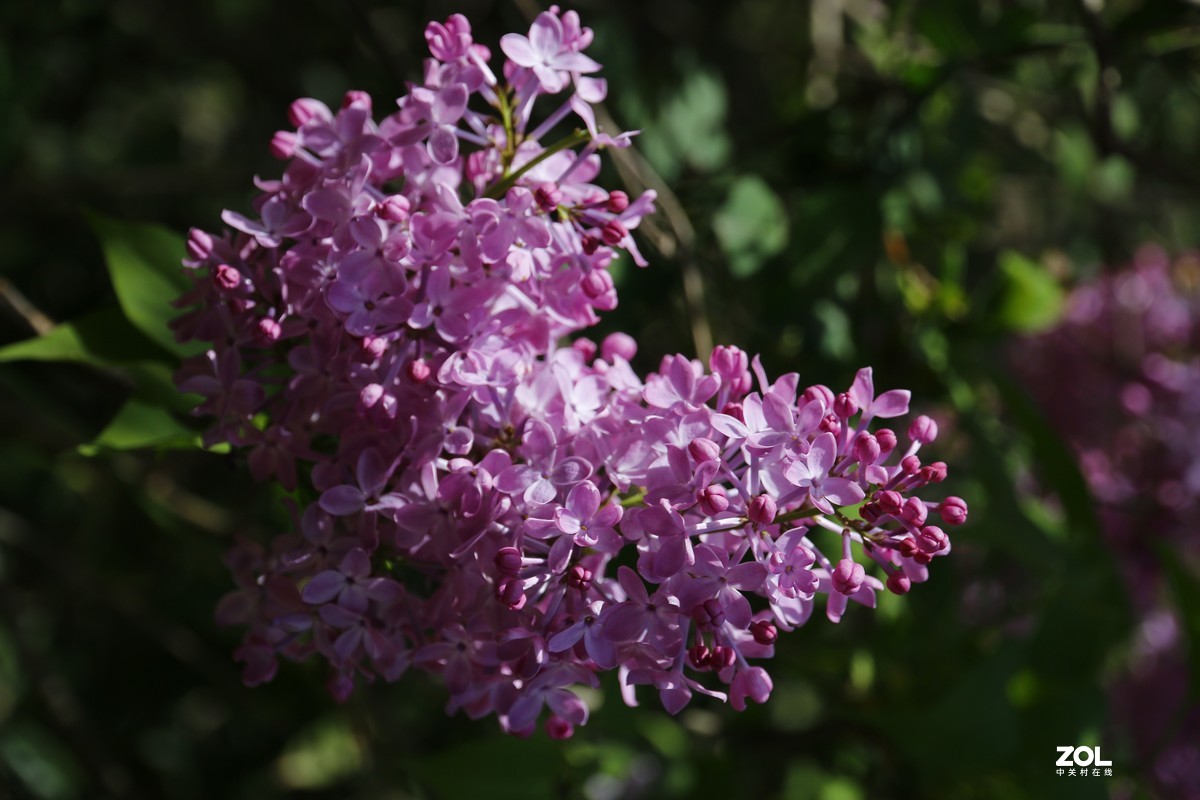 好久没拍片了，上手随拍