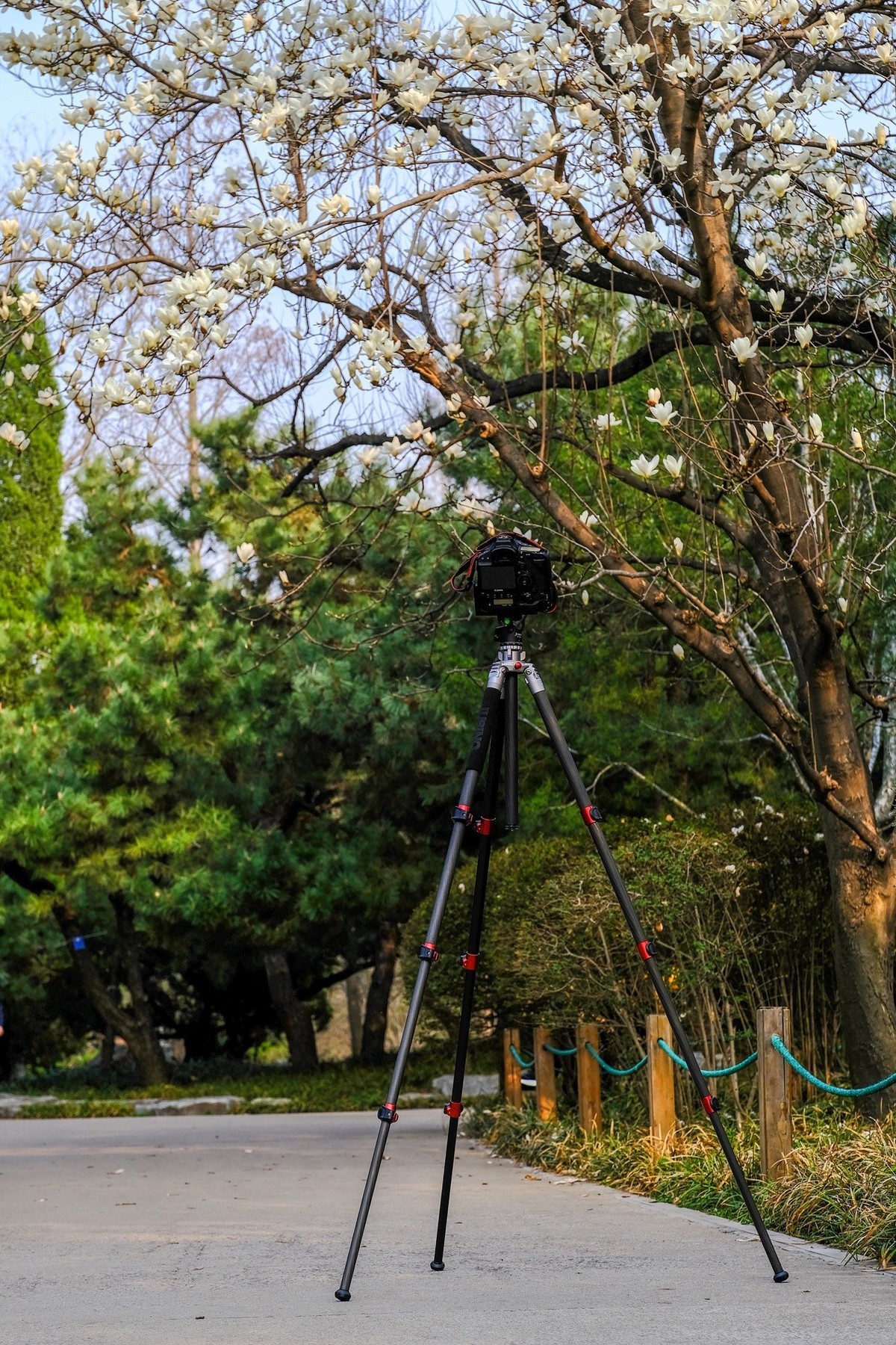 因为热爱，一路追寻