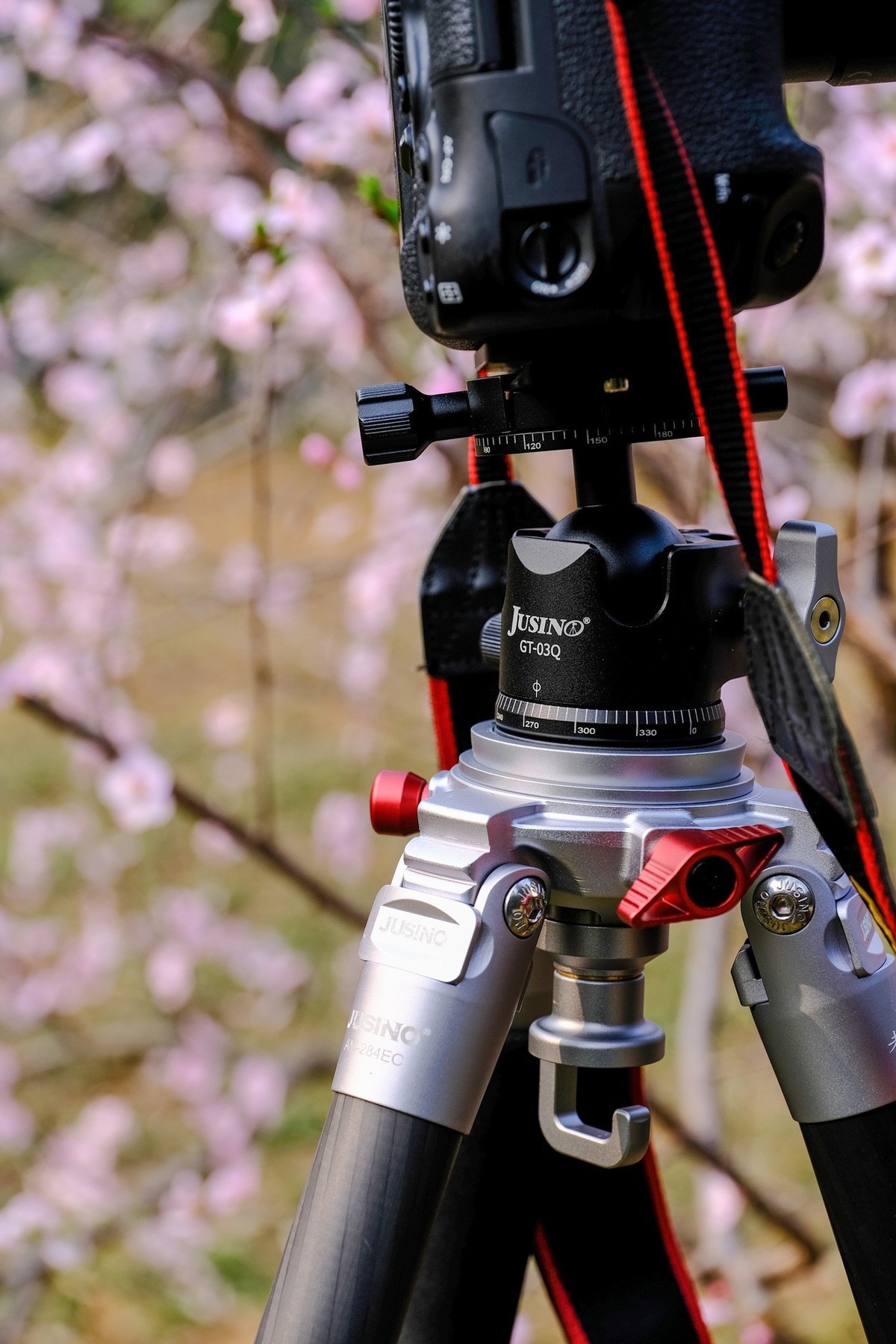 因为热爱，一路追寻