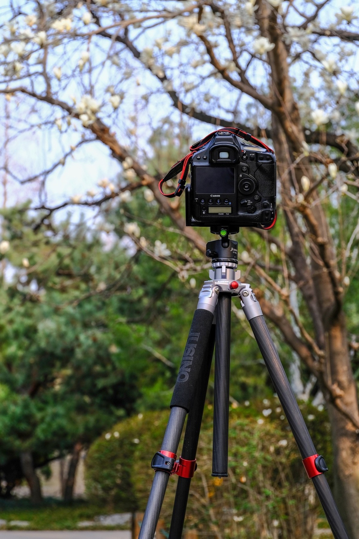 因为热爱，一路追寻