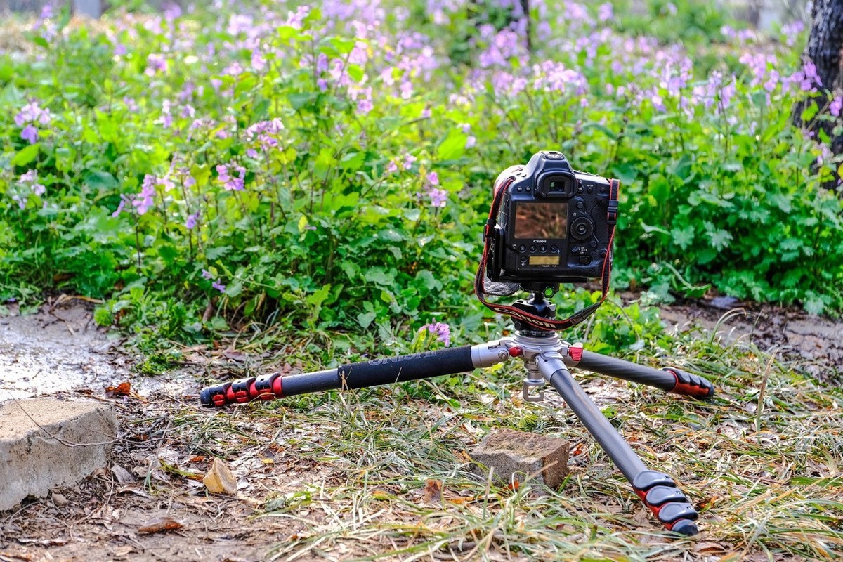 因为热爱，一路追寻