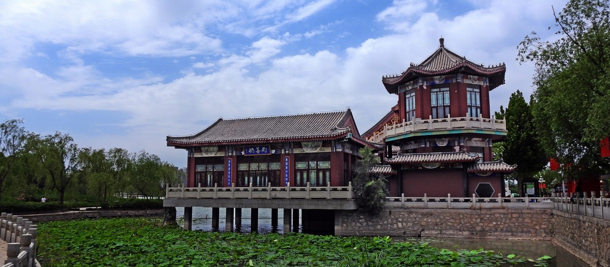 天津大型花卉批发市场