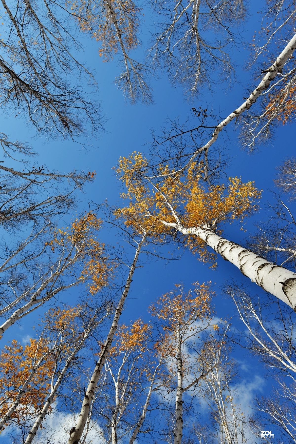 2020年国庆节游内蒙古额尔古纳、满洲里