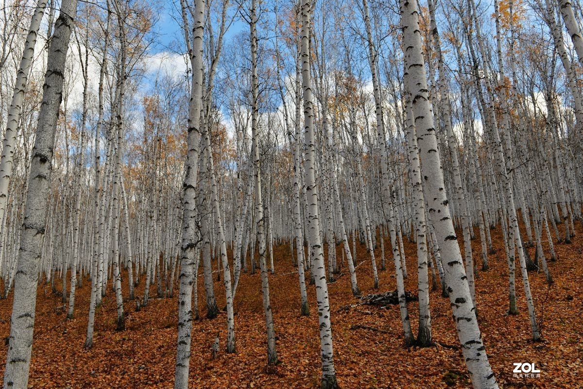 2020年国庆节游内蒙古额尔古纳、满洲里