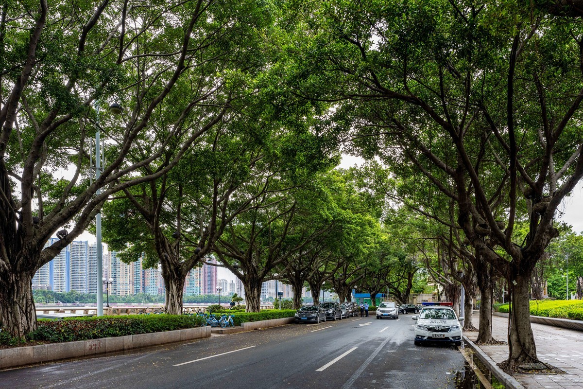 广州二沙岛随拍分享