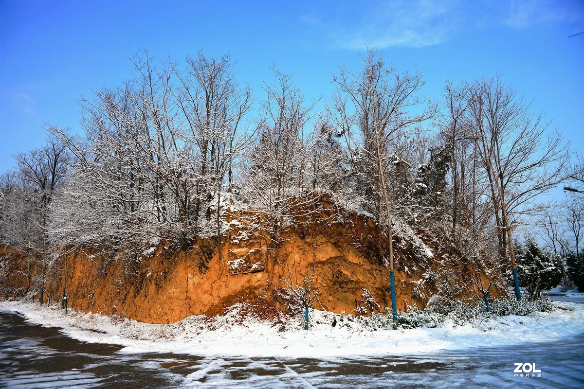 凤凰山  雪