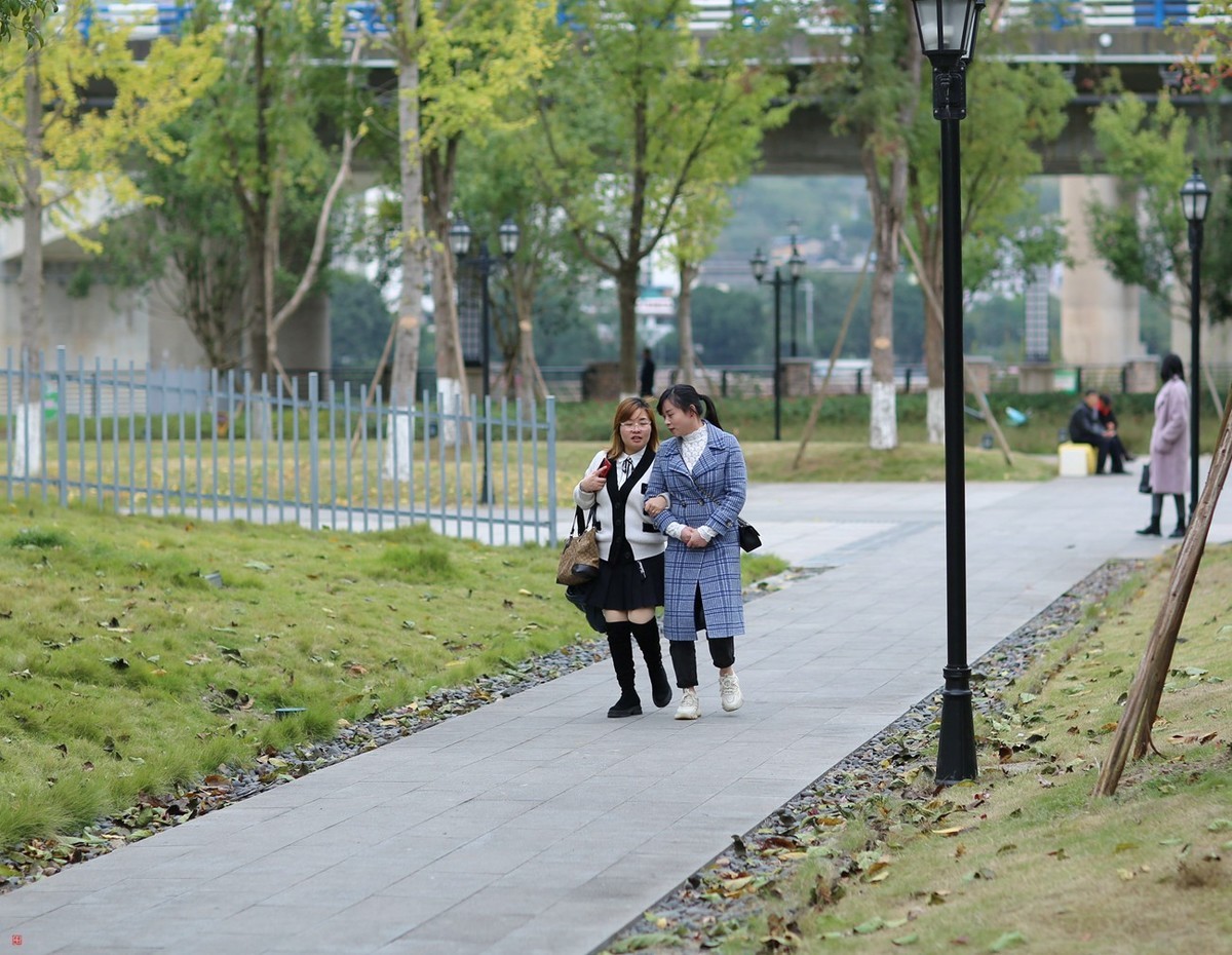 有些曰子没来看望寿星佬与成臣二版主了！