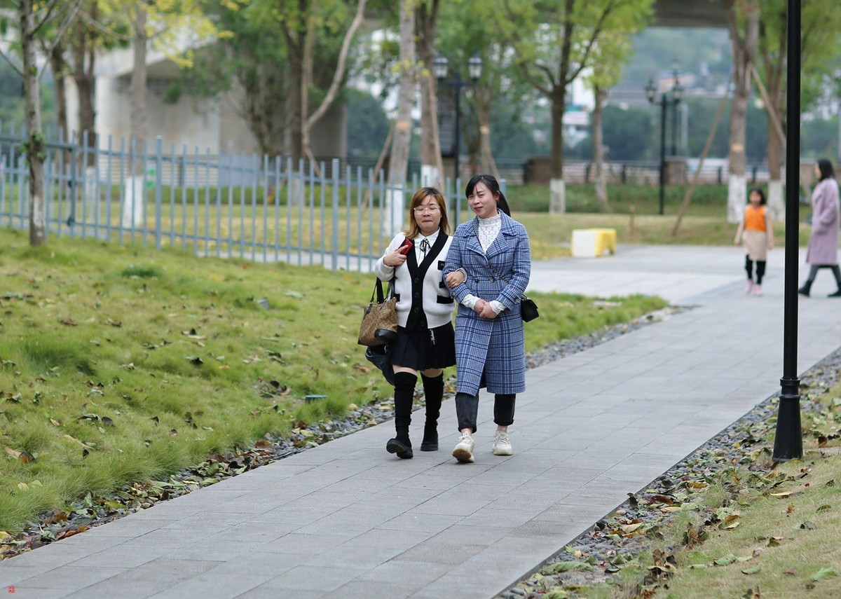 有些曰子没来看望寿星佬与成臣二版主了！