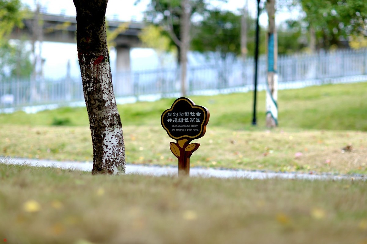 有些曰子没来看望寿星佬与成臣二版主了！