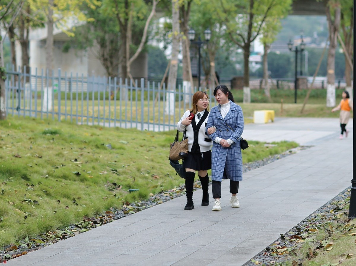 有些曰子没来看望寿星佬与成臣二版主了！