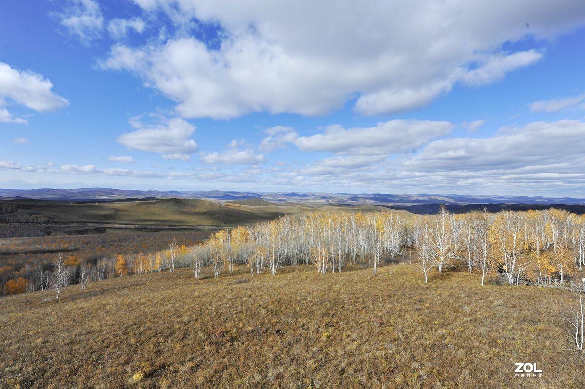 2020年国庆节游内蒙古额尔古纳湿地、白桦林