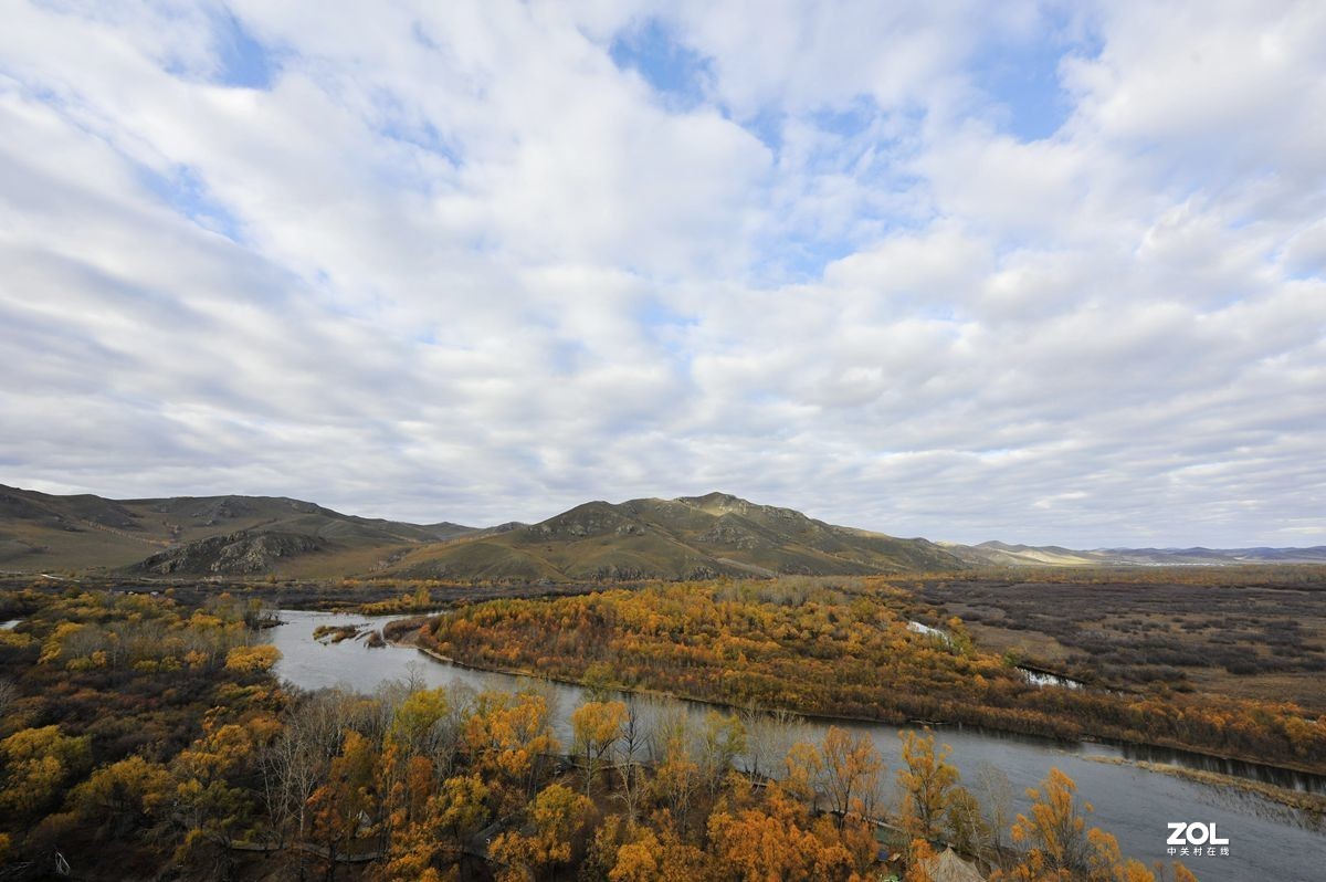 2020年国庆节游内蒙古额尔古纳湿地、白桦林