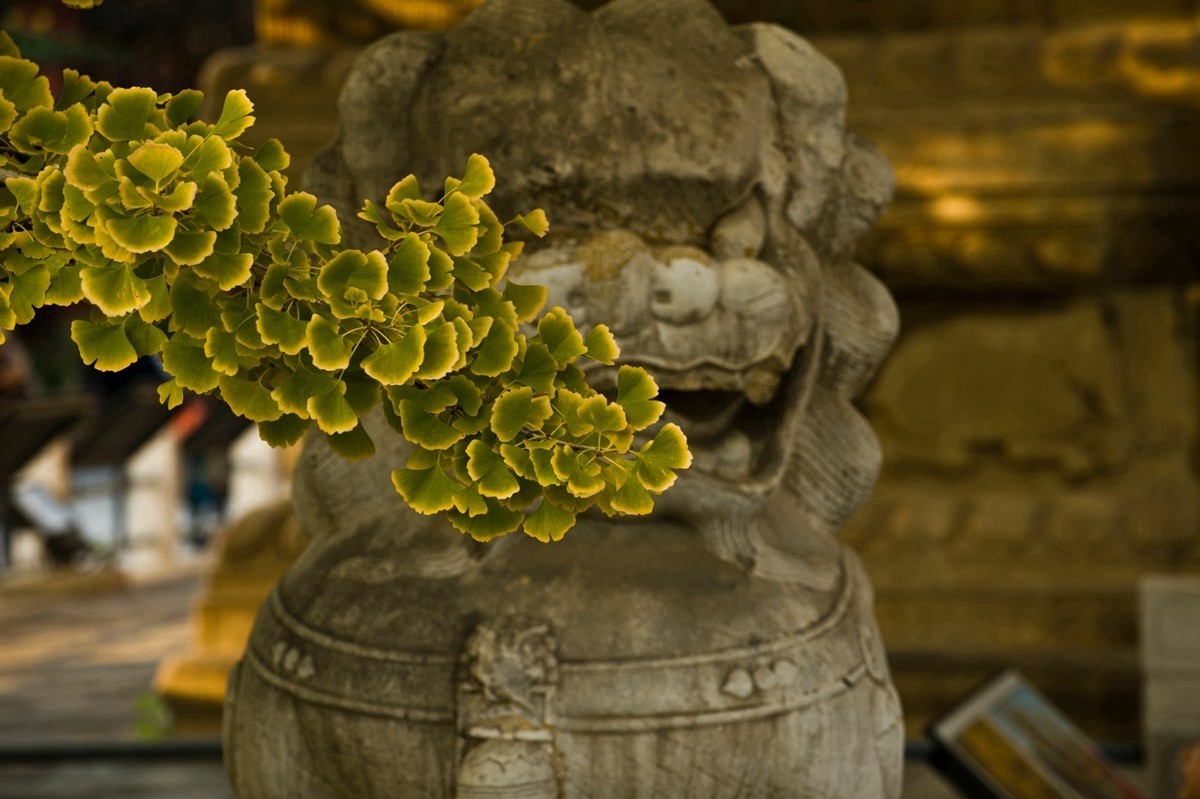 【 知 秋 五 塔 寺 】