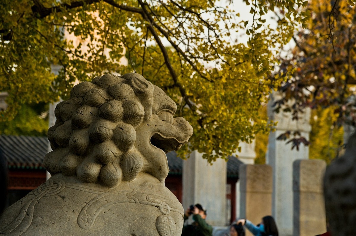 【 知 秋 五 塔 寺 】