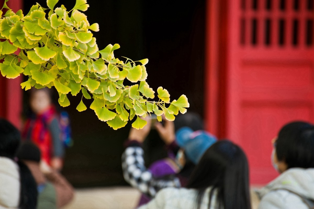 【 知 秋 五 塔 寺 】