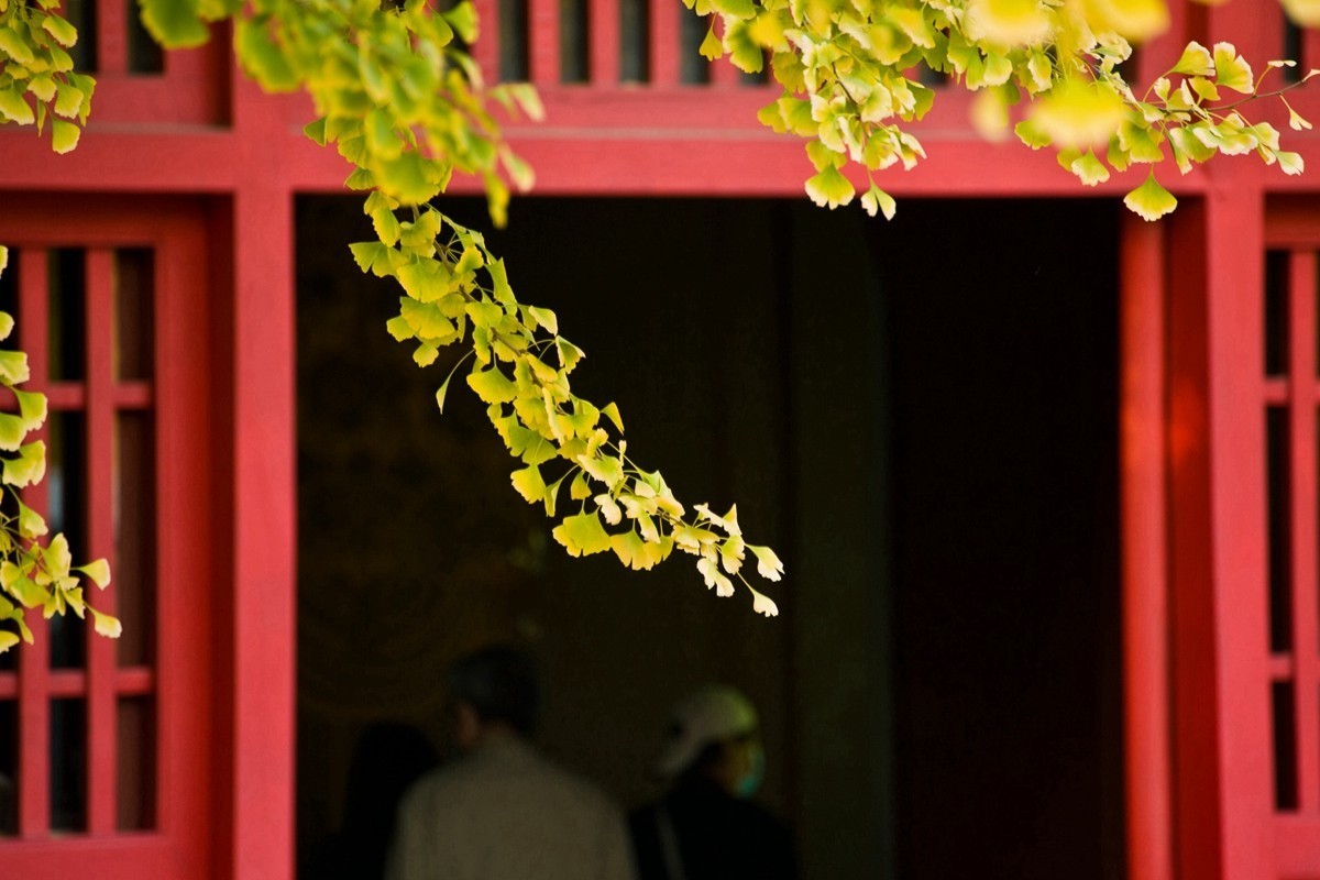 【 知 秋 五 塔 寺 】