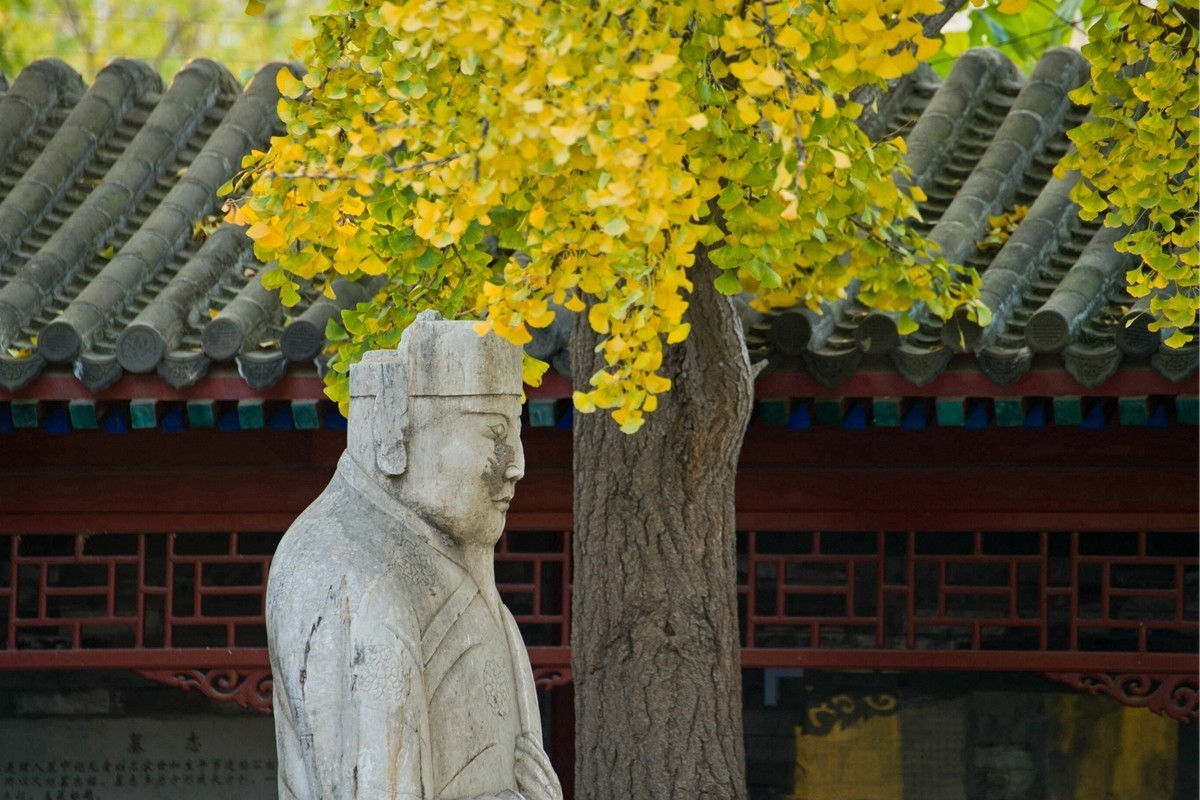 【 知 秋 五 塔 寺 】