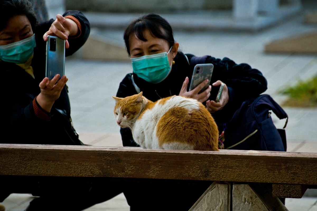 【 知 秋 五 塔 寺 】