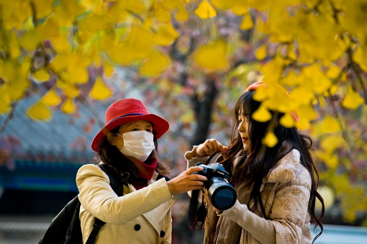 【 知 秋 五 塔 寺 】