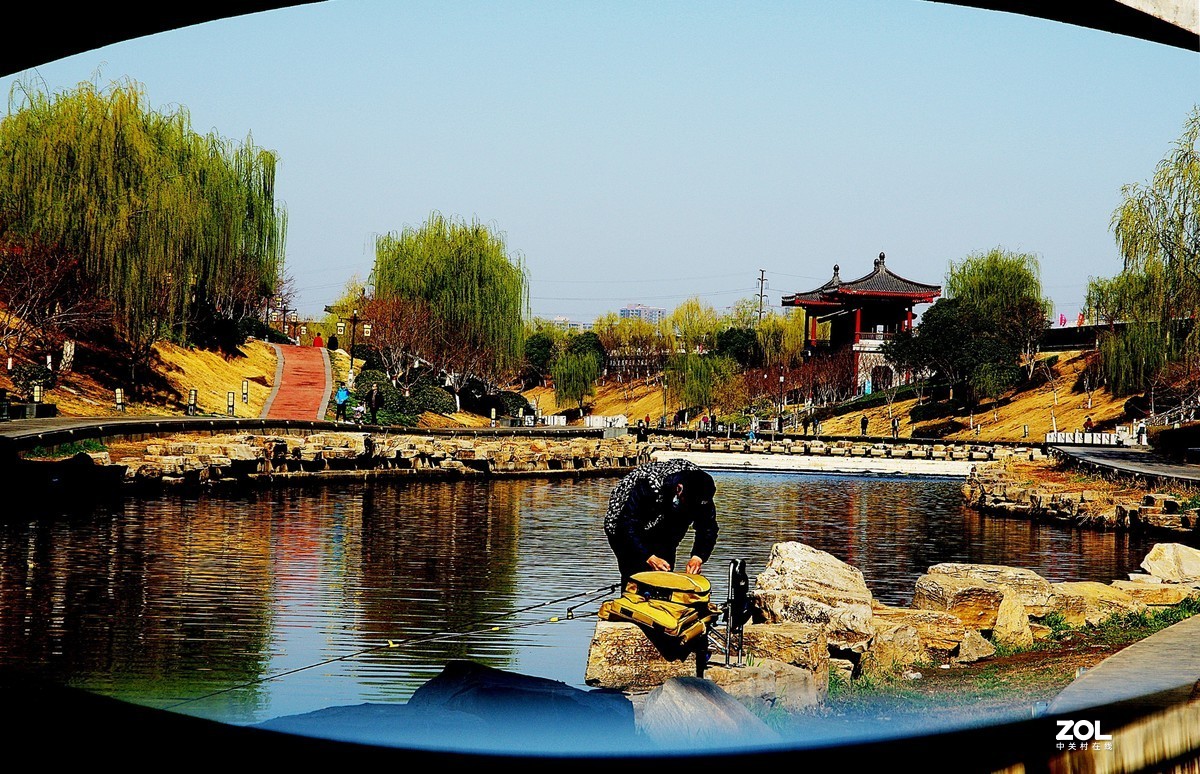 花红柳绿  春意盎然