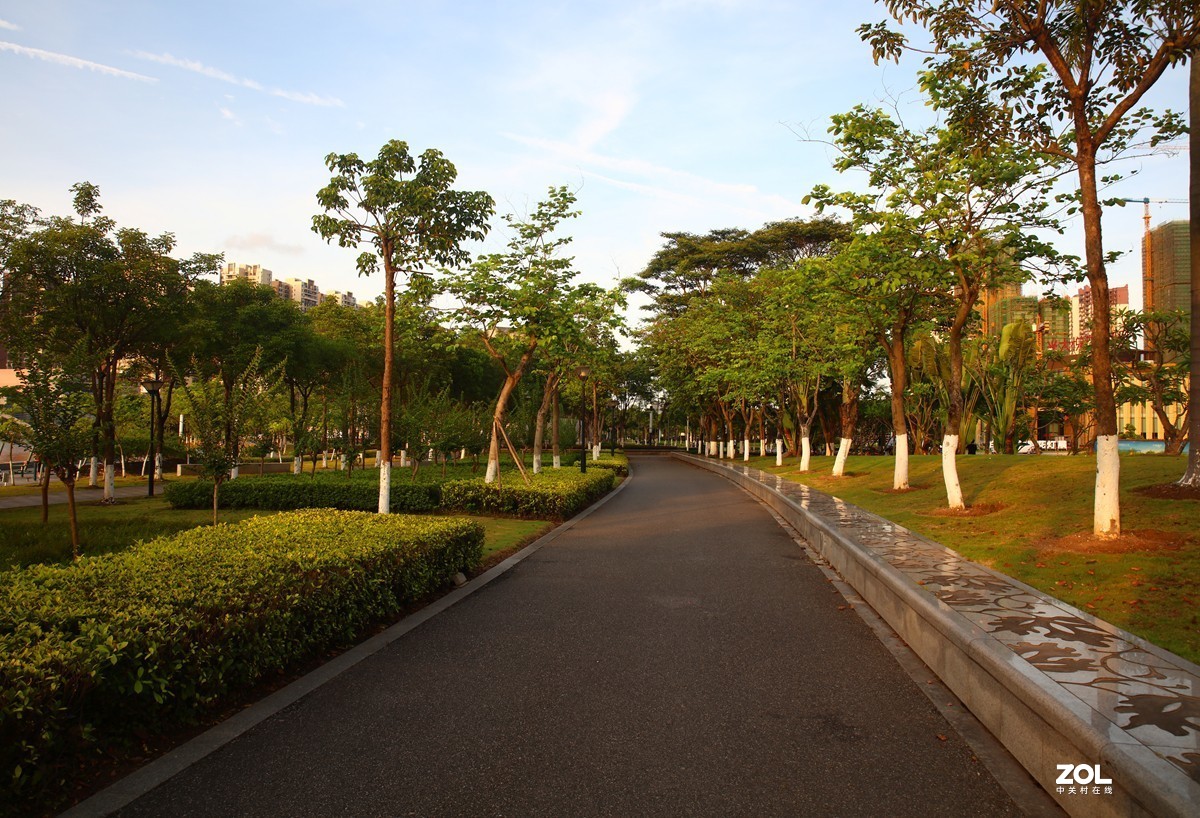 公园及周边风景随拍3