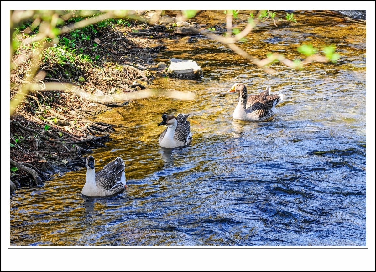 身在小镇--我的第二故乡,思念武汉--我的故乡!
