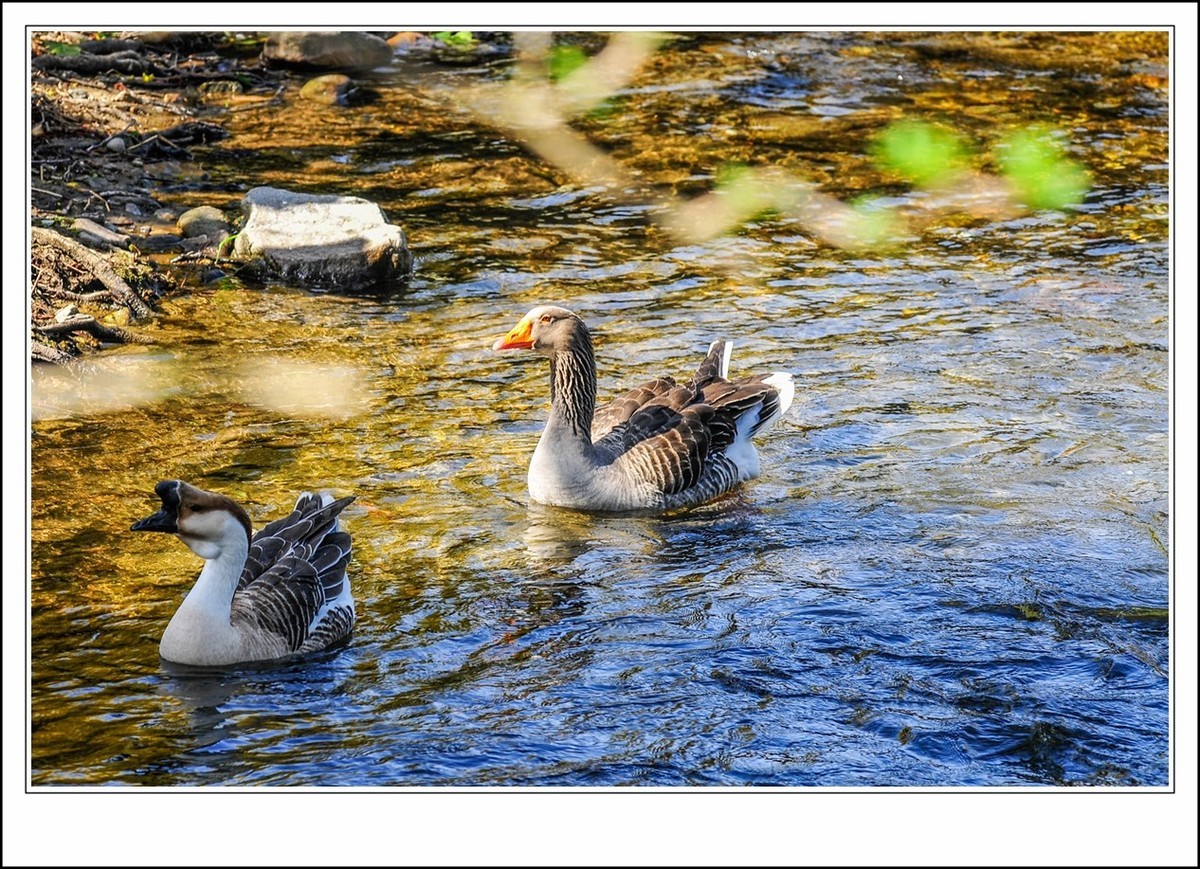 身在小镇--我的第二故乡,思念武汉--我的故乡!