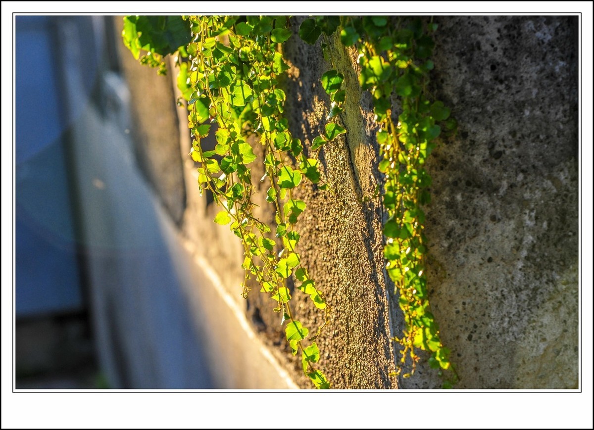 身在小镇--我的第二故乡,思念武汉--我的故乡!