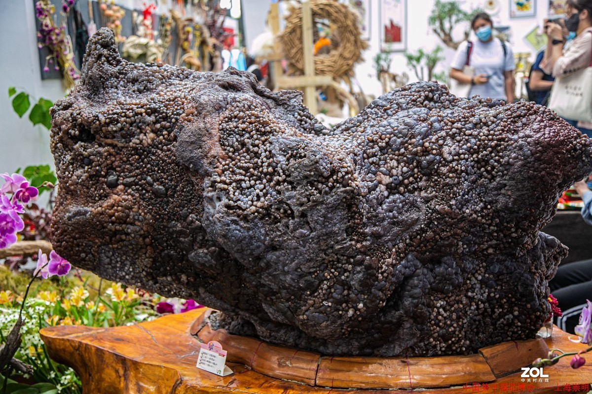 第十届中国花博会之三————室内部分省份展馆