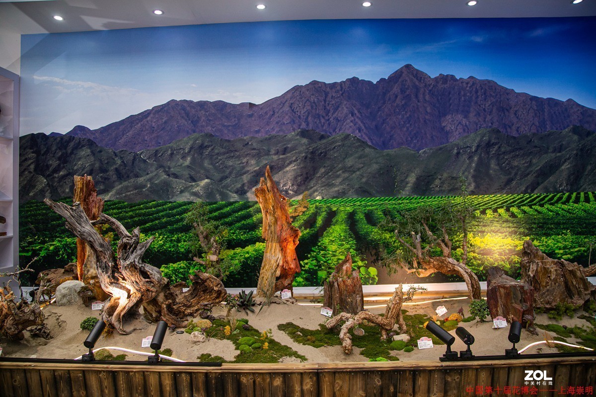 第十届中国花博会之三————室内部分省份展馆